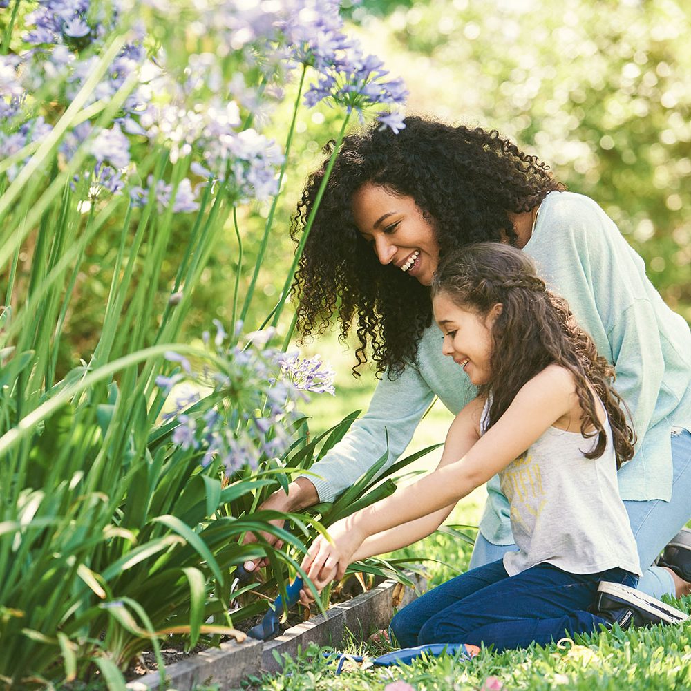 KAFI Bewässerungssysteme Garten Pflanzen Grünanlagen Sprenger