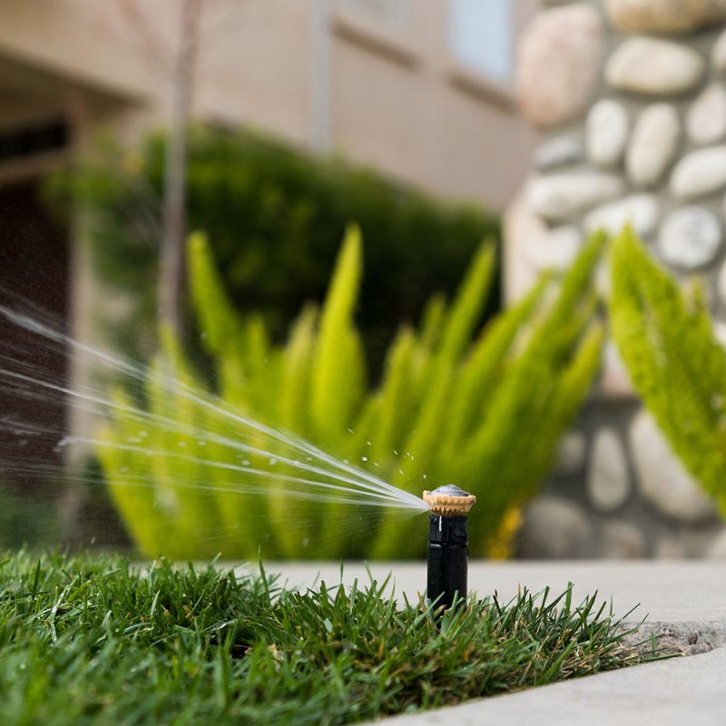 KAFI Bewässerungssysteme Garten Pflanzen Grünanlagen Sprenger